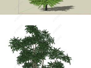 3d树图,揭示复杂关系的立体奥秘